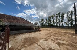 Ferma de bovine - oportunitate pentru investitori sau fermieri profesionisti