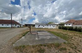 Ferma de bovine - oportunitate pentru investitori sau fermieri profesionisti