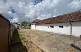 Ferma de bovine - oportunitate pentru investitori sau fermieri profesionisti