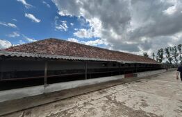 Ferma de bovine - oportunitate pentru investitori sau fermieri profesionisti