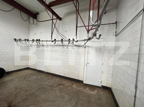 Spațiu industrial de vânzare Est - 194744SVI | BLITZ Oradea | Poza7