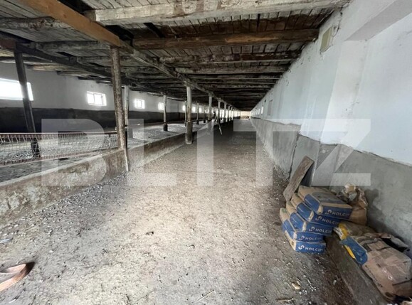 Spațiu industrial de vânzare Est - 194744SVI | BLITZ Oradea | Poza4