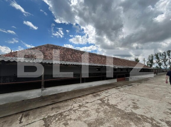 Spațiu industrial de vânzare Est - 194744SVI | BLITZ Oradea | Poza6