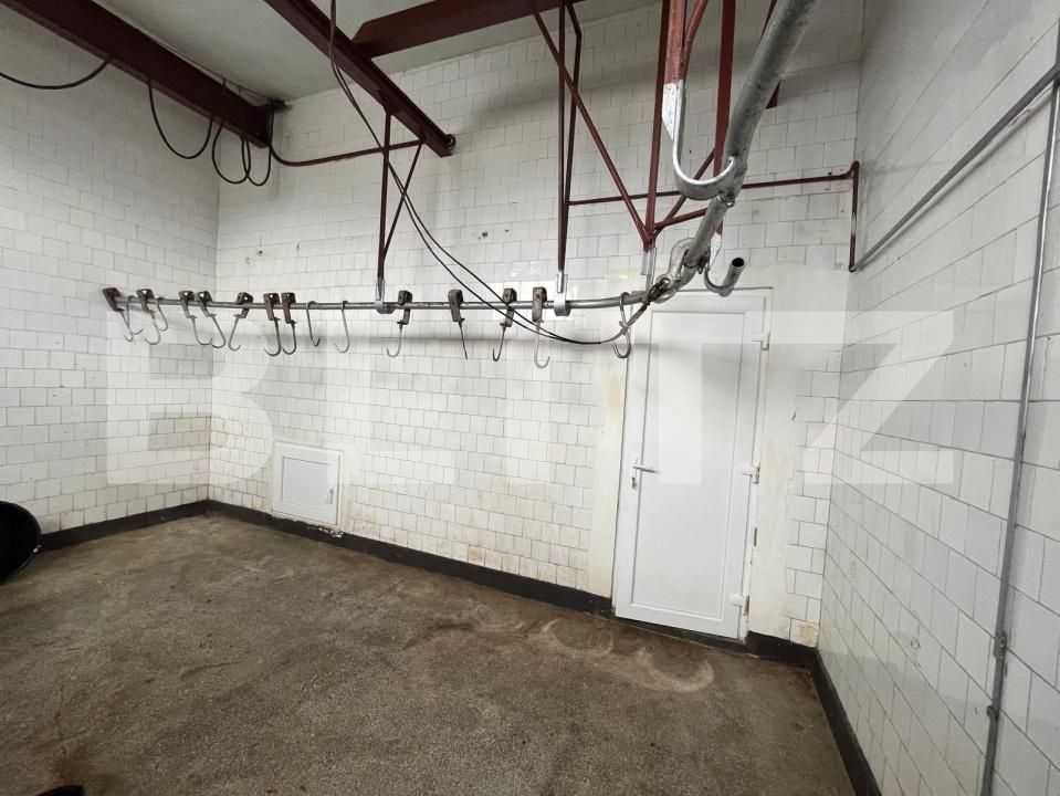 Spațiu industrial de vânzare Est - 194744SVI | BLITZ Oradea | Poza7
