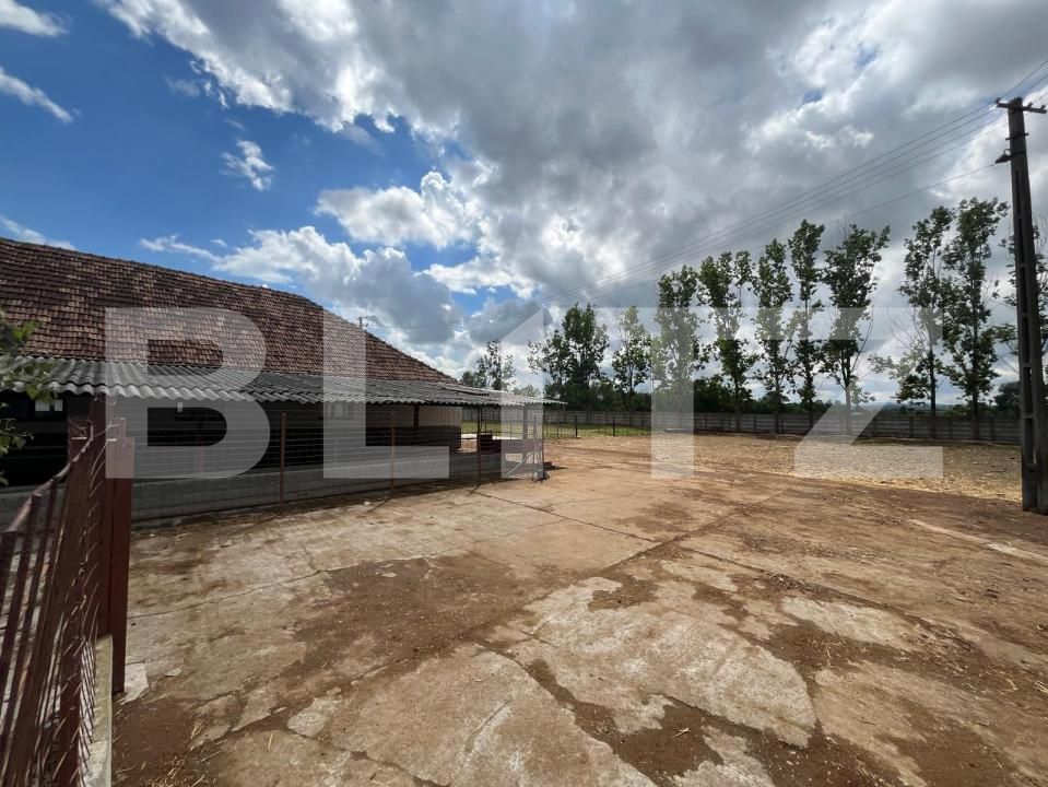 Spațiu industrial de vânzare Est - 194744SVI | BLITZ Oradea | Poza12