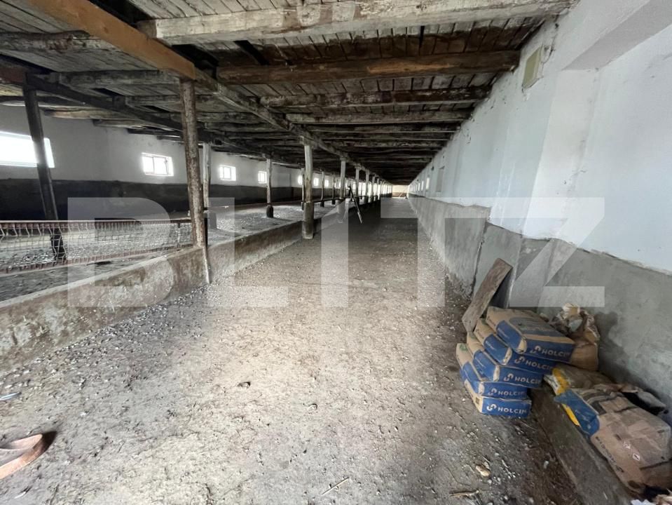 Spațiu industrial de vânzare Est - 194744SVI | BLITZ Oradea | Poza4