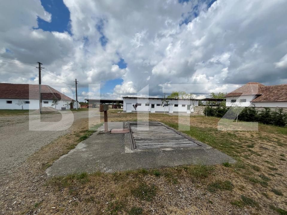 Spațiu industrial de vânzare Est - 194744SVI | BLITZ Oradea | Poza10