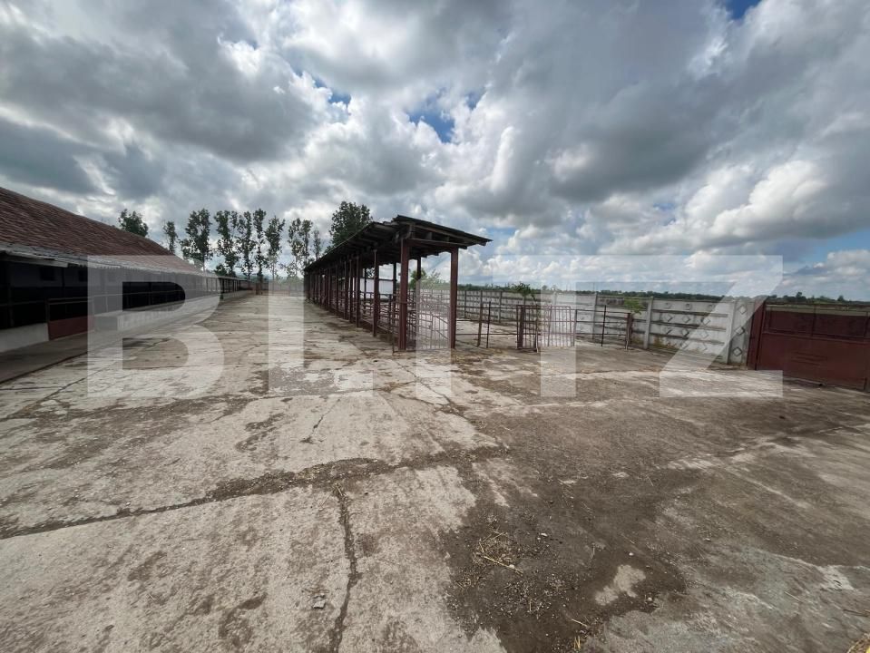 Spațiu industrial de vânzare Est - 194744SVI | BLITZ Oradea | Poza11