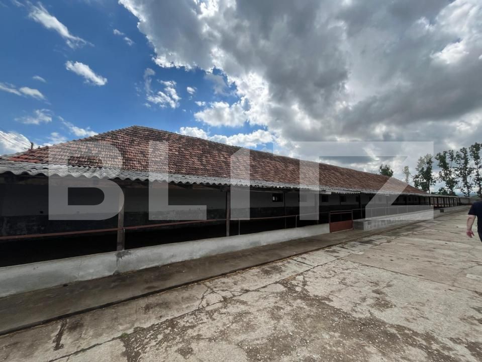Spațiu industrial de vânzare Est - 194744SVI | BLITZ Oradea | Poza6