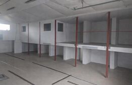 De vanzare hale industriale, ideala pentru service auto sau firme de logistică
