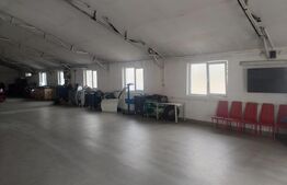 De vanzare hale industriale, ideala pentru service auto sau firme de logistică