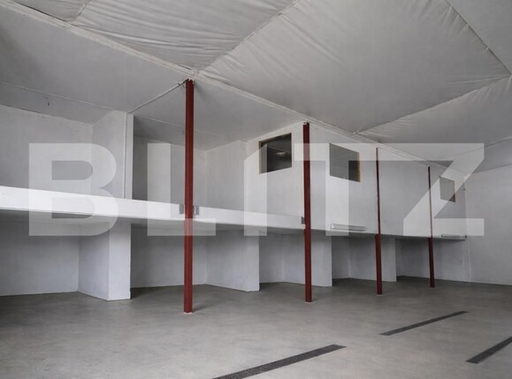 Spațiu industrial de vânzare Oncea - 194747SVI | BLITZ Oradea | Poza6