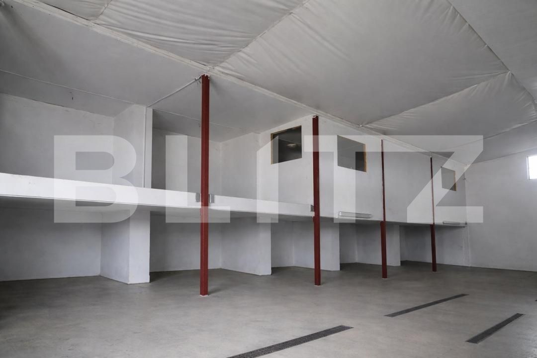 Spațiu industrial de vânzare Oncea - 194747SVI | BLITZ Oradea | Poza6