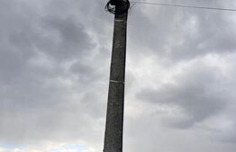 Teren de vânzare 1200 mp situat in Șuncuiuș, zonă cabane – ideal casă de vacanță