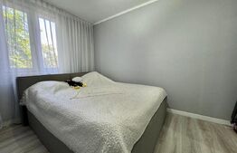 Apartament 2 camere, renovat, etaj 2, zona Aleea Rogerius