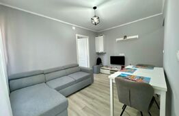 Apartament 2 camere, renovat, etaj 2, zona Aleea Rogerius