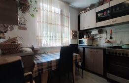 Garzoniera de vanzare, 23 mp, Decebal