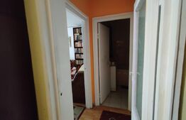 Apartament 2 camere, Rogerius