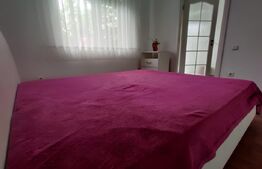 Apartament 2 camere, cu gradina, Sanmartin 