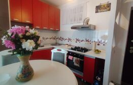 Apartament 2 camere, cu gradina, Sanmartin 