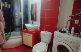 Apartament 2 camere, cu gradina, Sanmartin 
