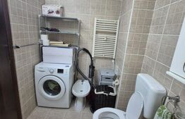Apartament de inchiriat, 2 camere, 49 mp, Prima Nufarul