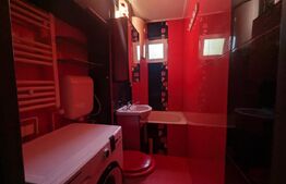 Blitz vă propune un apartament cu 2 camere la parter, zona Nufărul