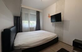 Blitz vă propune un apartament cu 2 camere la parter, zona Nufărul