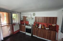 Casa de vanzare cartier Oncea Oradea teren 880 mp P+M