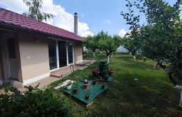 Casa de vanzare cartier Oncea Oradea teren 880 mp P+M