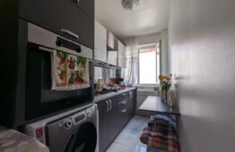 Apartament mobilat, utilat, instalații schimbate, 29 mp, Velenta
