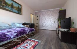 Apartament mobilat, utilat, instalații schimbate, 29 mp, Velenta