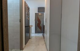 Apartament mobilat, utilat, instalații schimbate, 29 mp, Velenta
