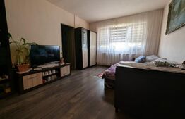 Apartament mobilat, utilat, instalații schimbate, 29 mp, Velenta