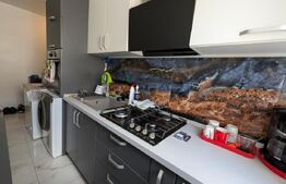 Apartament mobilat, utilat, instalații schimbate, 29 mp, Velenta
