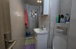 Apartament mobilat, utilat, instalații schimbate, 29 mp, Velenta