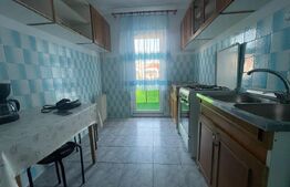 Apartament 2 camere de închiriat, 56 mp, zona Nufarul