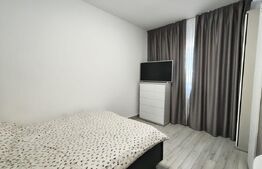 Apartament 2 camere, etaj 8, zona centrala - Luceafarul
