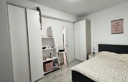 Apartament 2 camere, etaj 8, zona centrala - Luceafarul