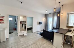 Apartament 2 camere, etaj 8, zona centrala - Luceafarul