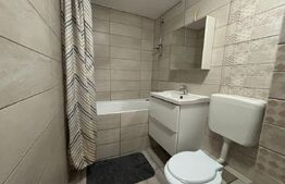 Aartament de inchiriat cu 2 camere in Calea Aradului