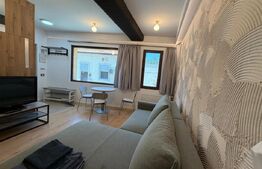 Apartament de inchiriat la casa