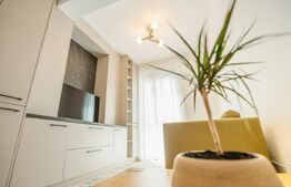Apartament NOU la prima inchiriere