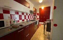Apartament cu 1 cameră, la parter, în zonă liniștită
