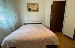 Apartament cu 1 cameră, la parter, în zonă liniștită