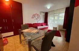 Apartament cu 1 cameră, la parter, în zonă liniștită
