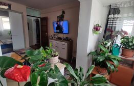 Apartament PC, 3 camere, 66 mp, zona Dragoș Vodă