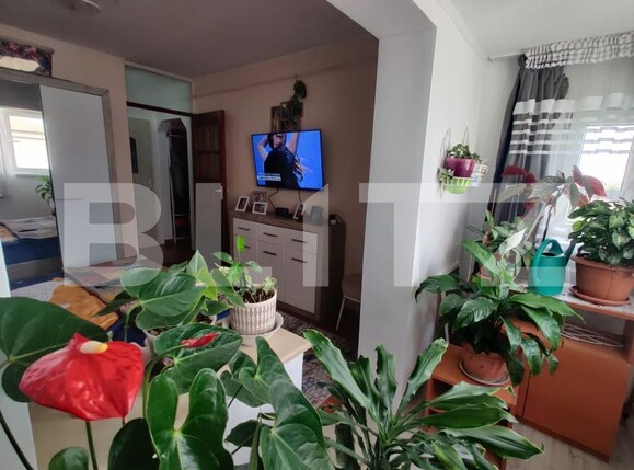 Apartament de vânzare 3 camere Dragos Voda - 196652AV | BLITZ Oradea | Poza2