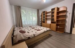 Apartament de inchiriat, 2 camere in, 53 mp, mobilat si finisat - Rogerius