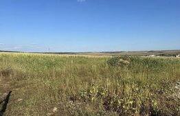 Teren intravilan, suprafata 11.500 mp, zona Marghita